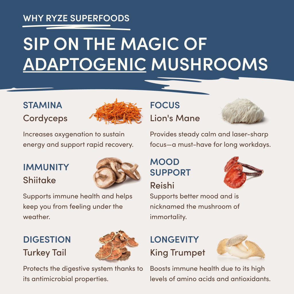RYZE Nighttime Mushroom Cocoa Starter Bag - KIDC