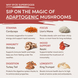 RYZE Mushroom Chai Starter Bag - XHQJ