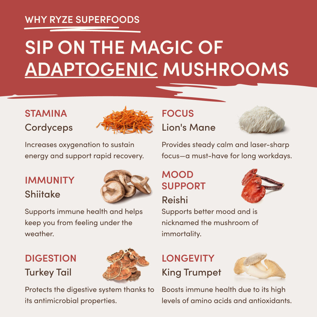 RYZE Mushroom Chai Starter Bag - XHQJ