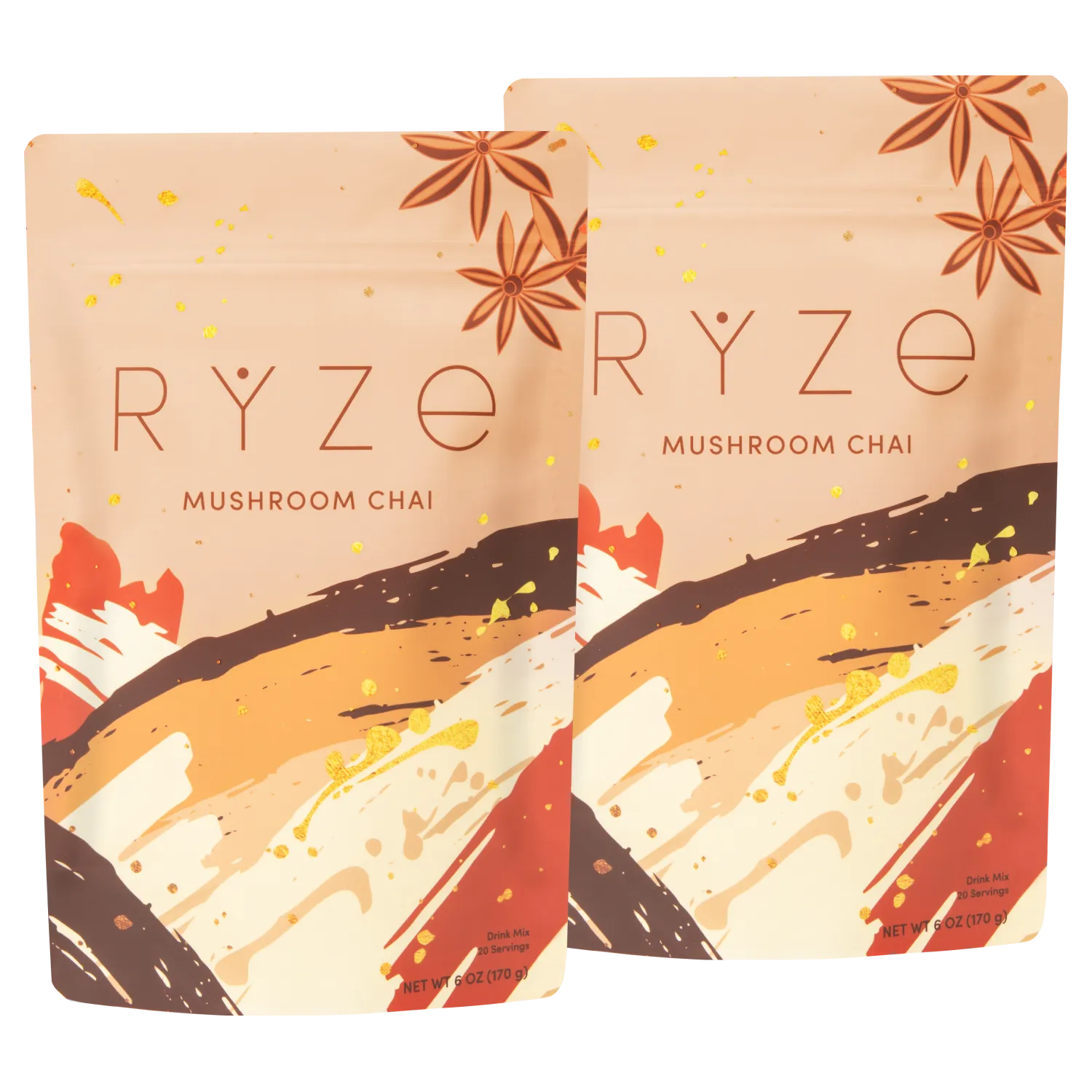Mushroom Chai Starter Kit: 40 Servings - TBJP