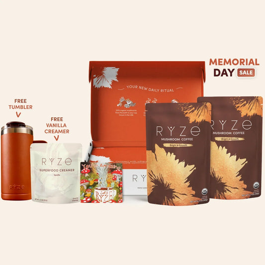 Mushroom Coffee Starter Kit 60 Serving - GB6E