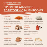 Mushroom Coffee (1 pack - 30 Servings) - VDZ0