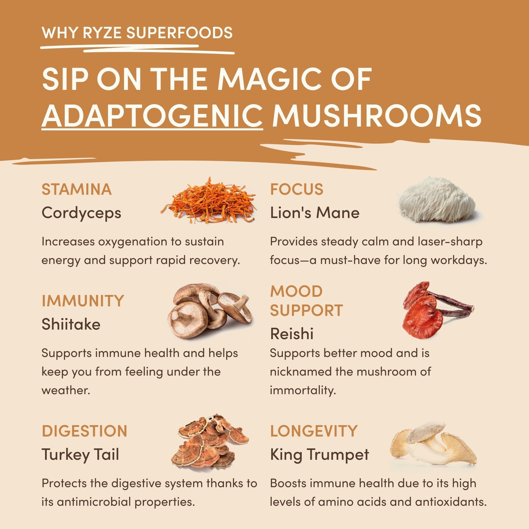 Mushroom Overnight Oats 14 Servings - BQ88