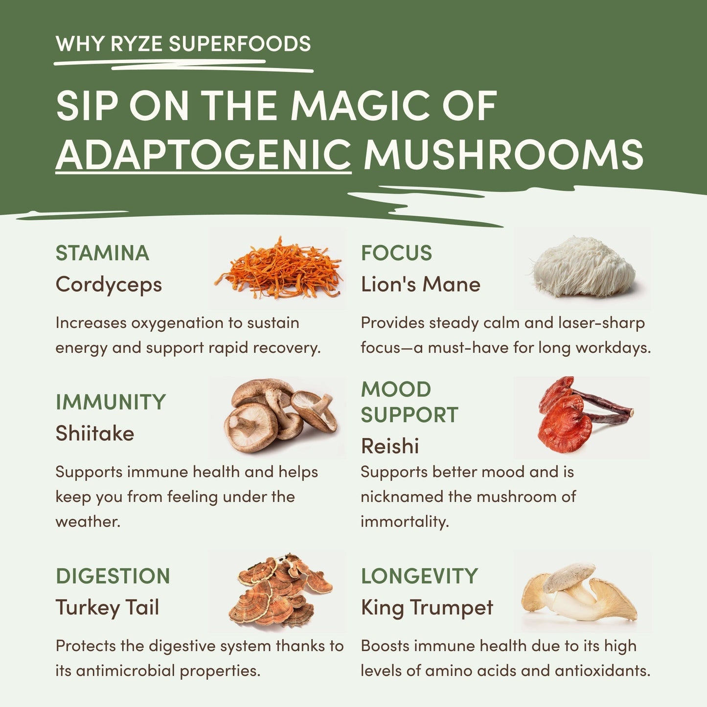 Mushroom Matcha (1 Pack - 30 Servings) - FZ3U