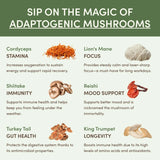 Mushroom Matcha Starter Kit (60 Servings) - ZIBG