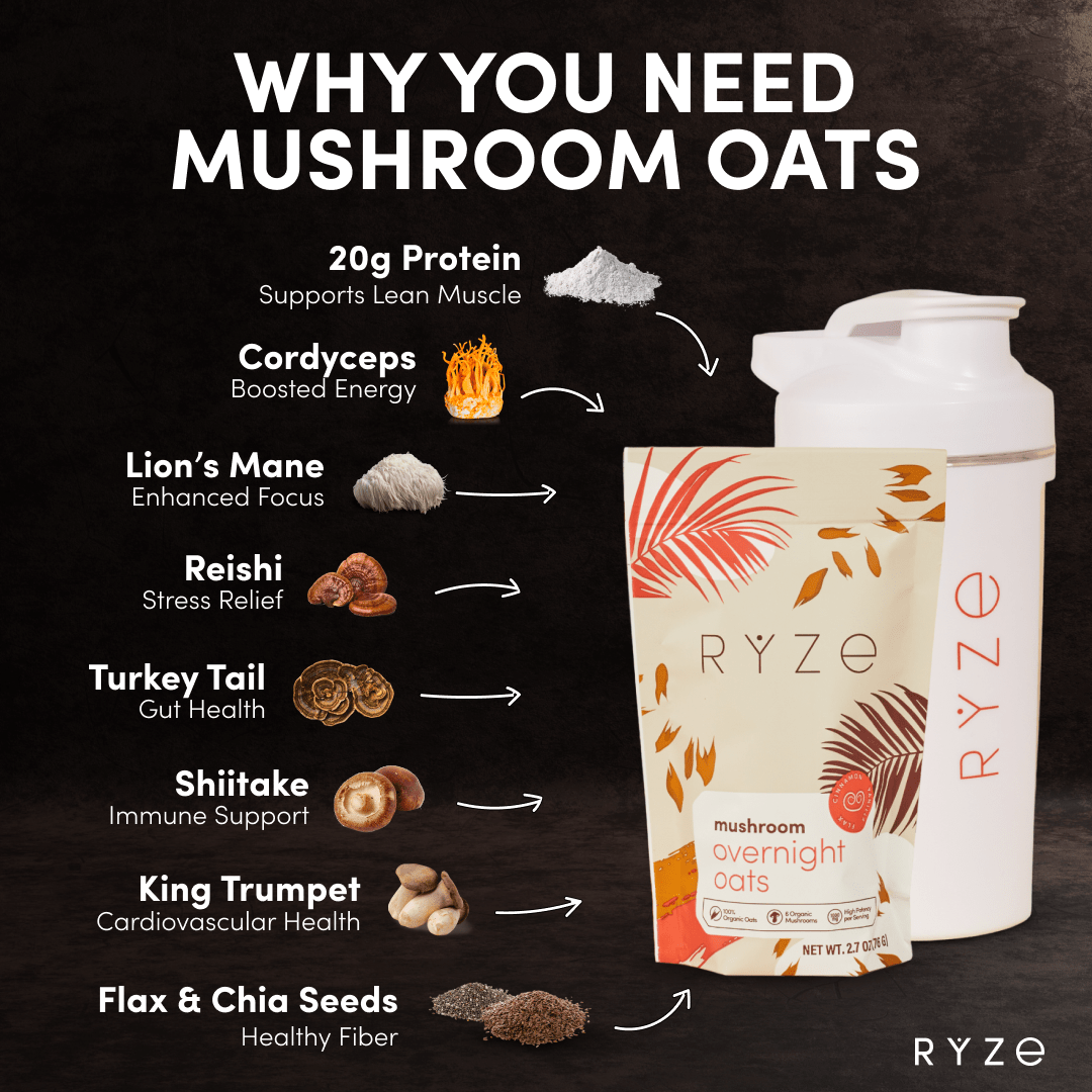 Mushroom Overnight Oats Pack (14 Servings) - LYVI