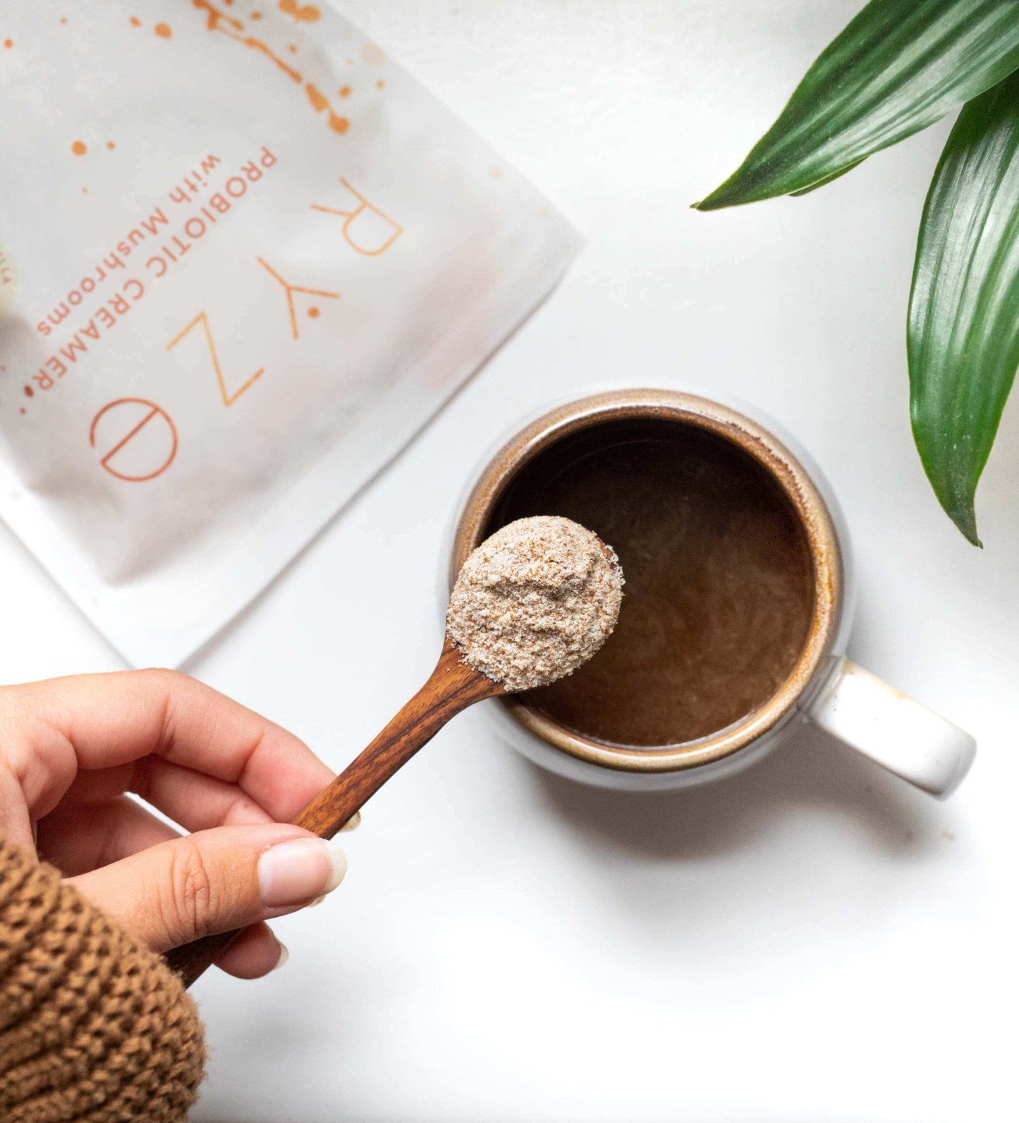 Probiotic Creamer (30 Servings) - 3X6E