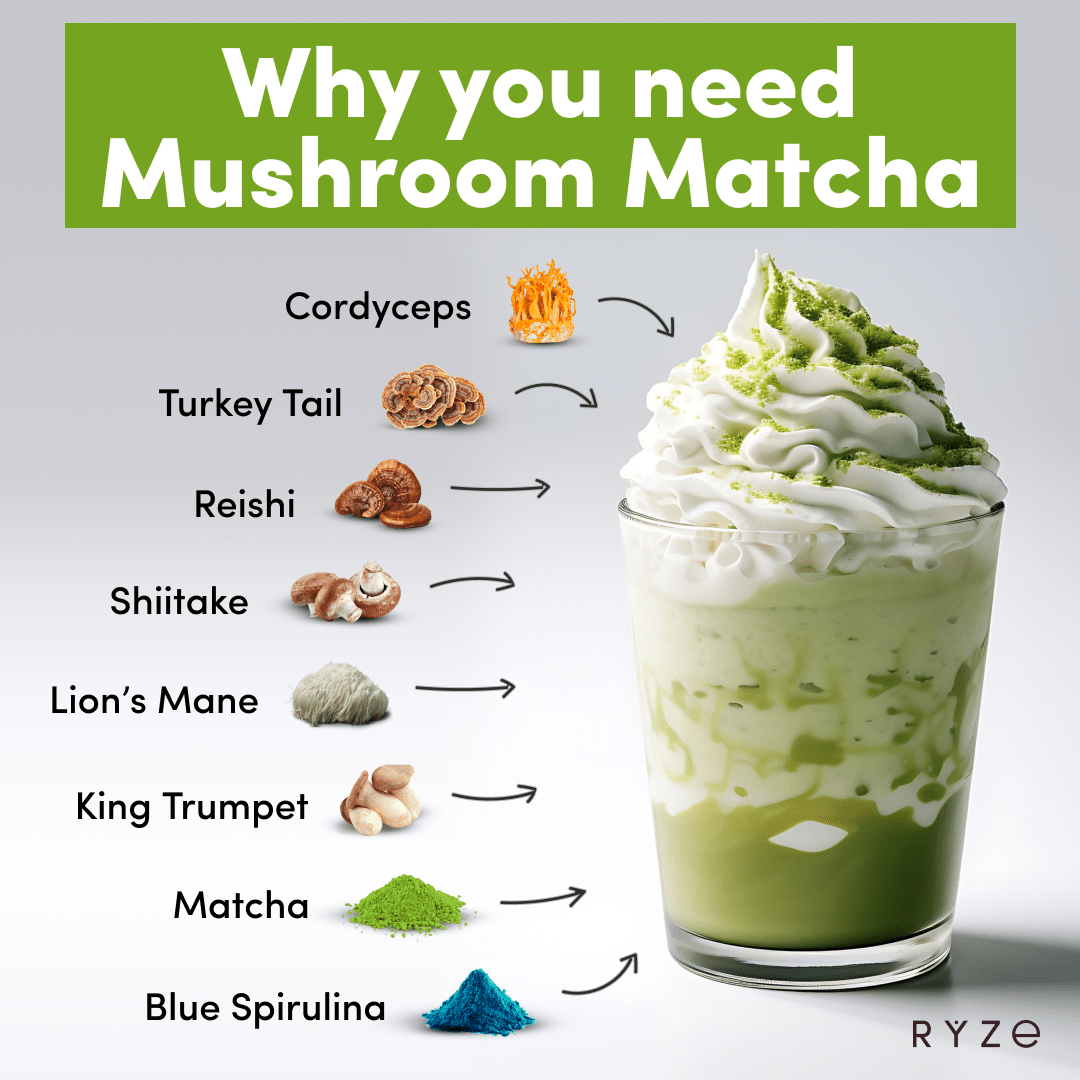 RYZE Mushroom Matcha - with 6 Organic Adaptogenic Mushrooms Grown In USA and Ceremonial-Grade Japanese Matcha - WQ4B