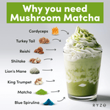 RYZE Organic Mushroom Matcha Starter Kit (60 servings) - MVD7